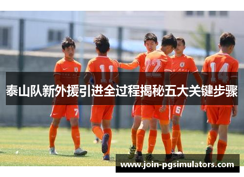 泰山队新外援引进全过程揭秘五大关键步骤