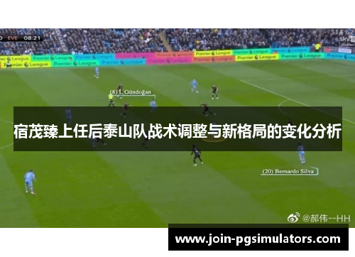 宿茂臻上任后泰山队战术调整与新格局的变化分析