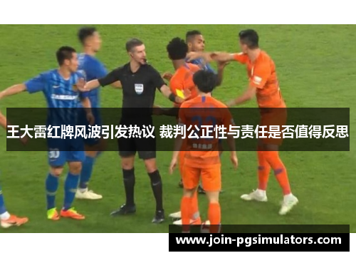王大雷红牌风波引发热议 裁判公正性与责任是否值得反思