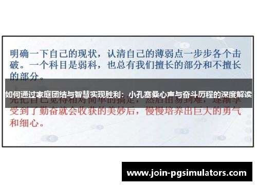 如何通过家庭团结与智慧实现胜利：小孔塞桑心声与奋斗历程的深度解读
