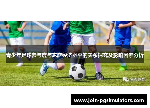 青少年足球参与度与家庭经济水平的关系探究及影响因素分析
