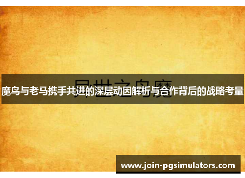 魔鸟与老马携手共进的深层动因解析与合作背后的战略考量