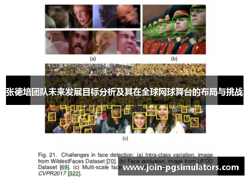 张德培团队未来发展目标分析及其在全球网球舞台的布局与挑战