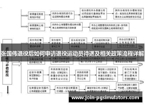 张国伟退役后如何申请退役运动员待遇及相关政策流程详解