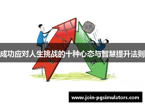 成功应对人生挑战的十种心态与智慧提升法则