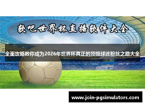 全面攻略教你成为2026年世界杯真正的顶级球迷粉丝之路大全