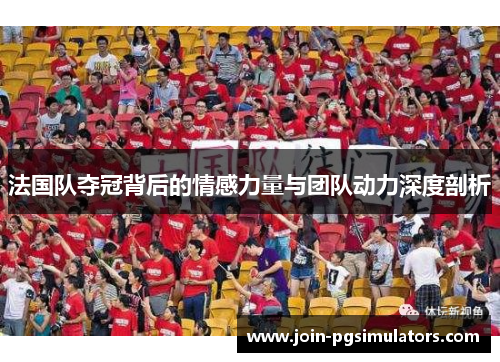 法国队夺冠背后的情感力量与团队动力深度剖析