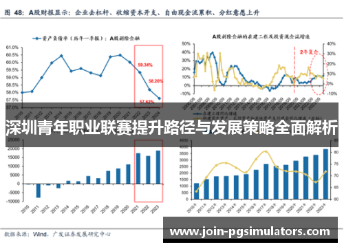 深圳青年职业联赛提升路径与发展策略全面解析