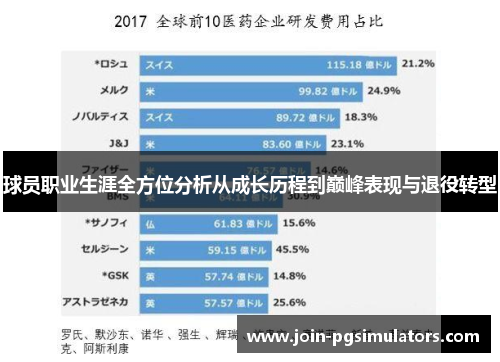 球员职业生涯全方位分析从成长历程到巅峰表现与退役转型