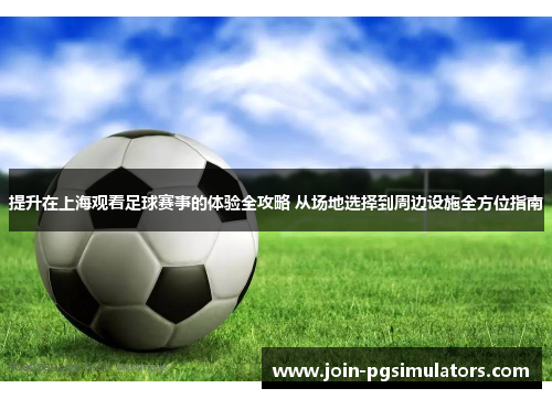 提升在上海观看足球赛事的体验全攻略 从场地选择到周边设施全方位指南